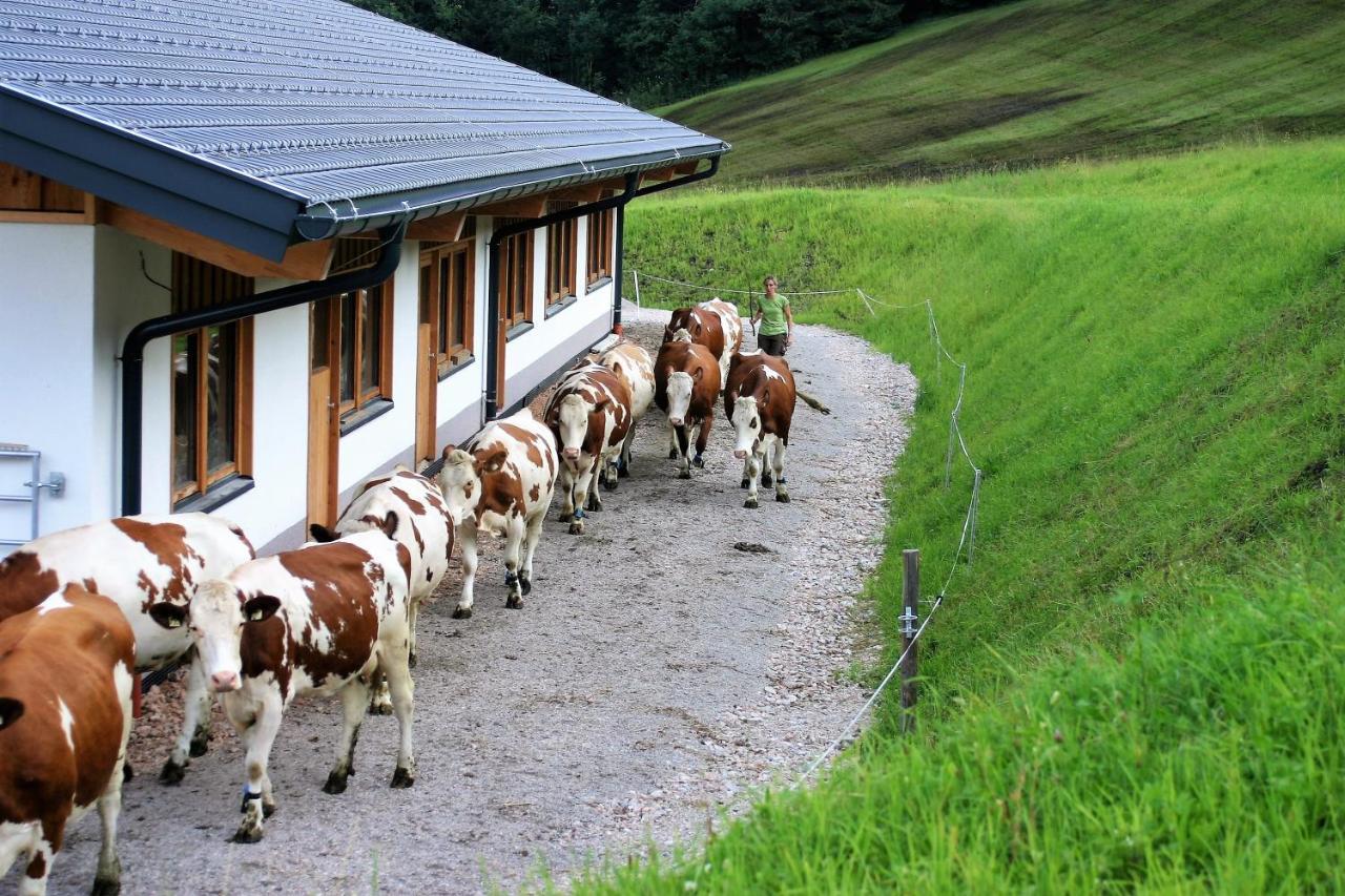 Willa Schartlhof Flachau Zewnętrze zdjęcie