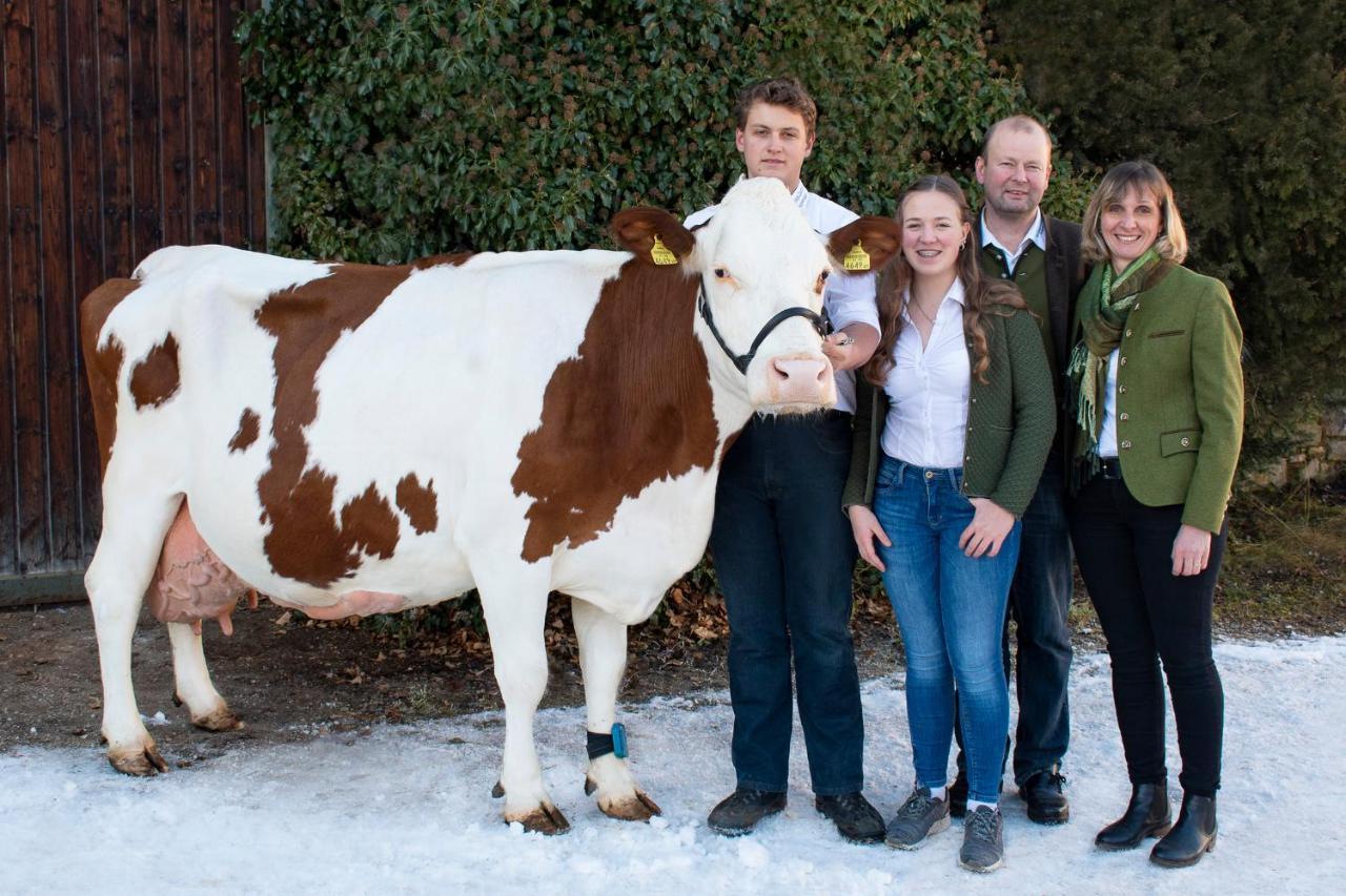 Willa Schartlhof Flachau Zewnętrze zdjęcie