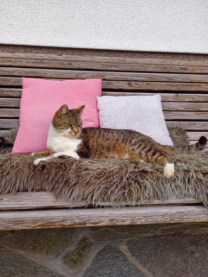 Willa Schartlhof Flachau Zewnętrze zdjęcie