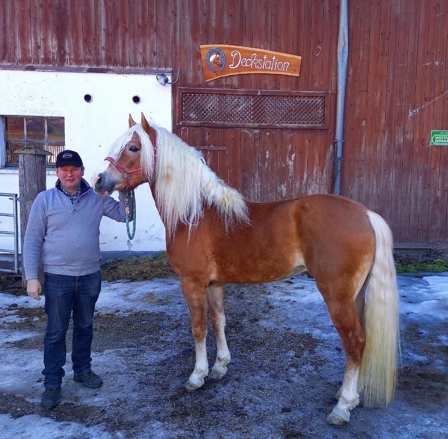 Willa Schartlhof Flachau Zewnętrze zdjęcie