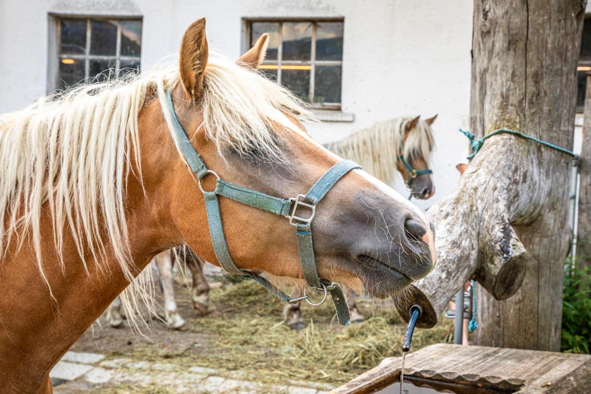 Willa Schartlhof Flachau Zewnętrze zdjęcie