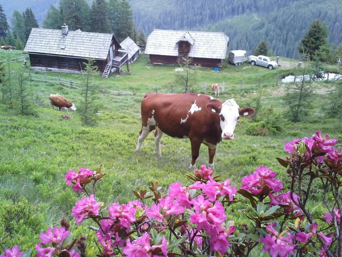 Willa Schartlhof Flachau Zewnętrze zdjęcie